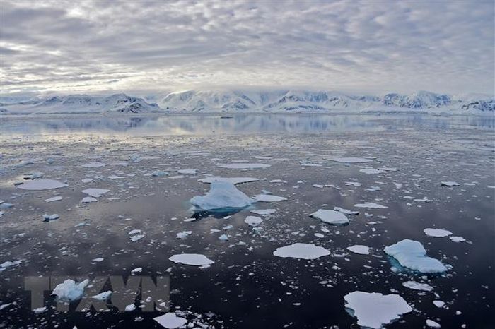 El Nino mạnh hơn khiến băng Nam Cực tan chảy 'không thể đảo ngược'