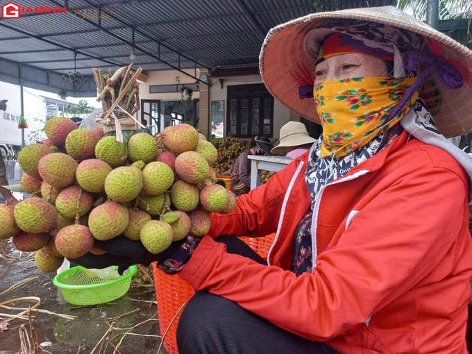 Mùa vải chín sớm ở Phương Nam