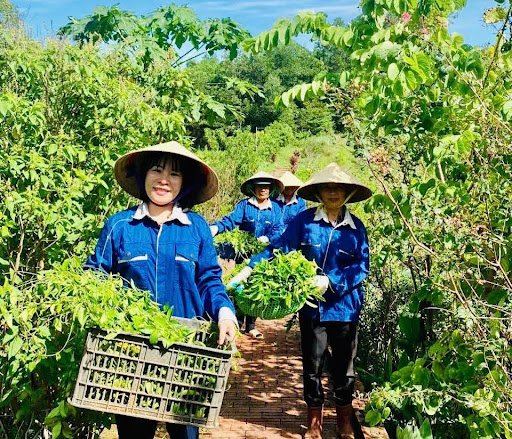 Hội LHPN huyện Bố Trạch: “Cầu nối” đưa vốn tín dụng chính sách đến phụ nữ nghèo”